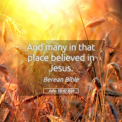 Picture 05 - John 10:42 BSB - And many in that place believed in - Bible Verse Picture