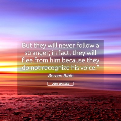 Picture 05 - John 10:5 BSB - But they will never follow a stranger; in fact, - Bible Verse Picture