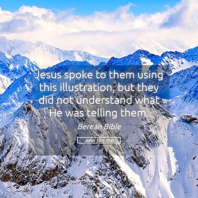 Picture 05 - John 10:6 BSB - Jesus spoke to them using this illustration, but - Bible Verse Picture