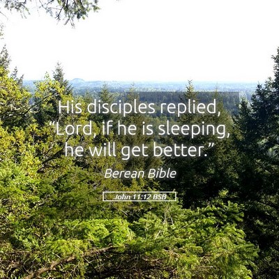 Picture 05 - John 11:12 BSB - His disciples replied, “Lord, if he is - Bible Verse Picture