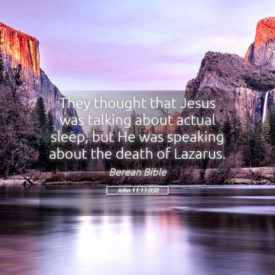 Picture 05 - John 11:13 BSB - They thought that Jesus was talking about actual - Bible Verse Picture