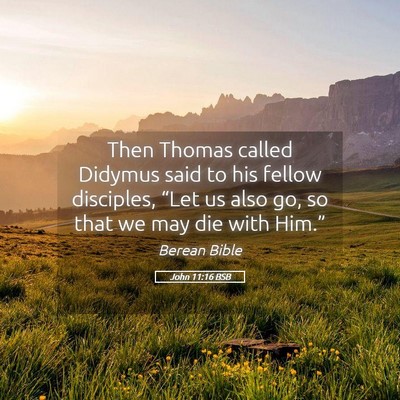 Picture 05 - John 11:16 BSB - Then Thomas called Didymus said to his fellow - Bible Verse Picture