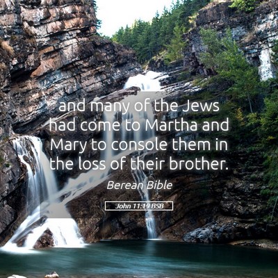 Picture 05 - John 11:19 BSB - and many of the Jews had come to Martha and Mary - Bible Verse Picture