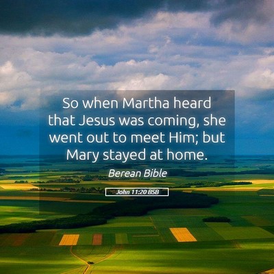 Picture 05 - John 11:20 BSB - So when Martha heard that Jesus was coming, she - Bible Verse Picture