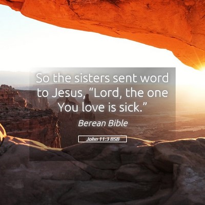 Picture 05 - John 11:3 BSB - So the sisters sent word to Jesus, “Lord, the - Bible Verse Picture