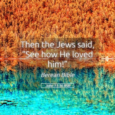 Picture 05 - John 11:36 BSB - Then the Jews said, “See how He loved - Bible Verse Picture