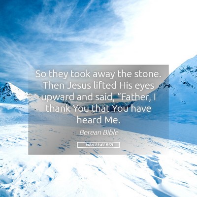 Picture 05 - John 11:41 BSB - So they took away the stone. Then Jesus lifted - Bible Verse Picture