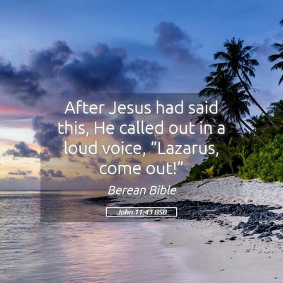 Picture 05 - John 11:43 BSB - After Jesus had said this, He called out in a - Bible Verse Picture