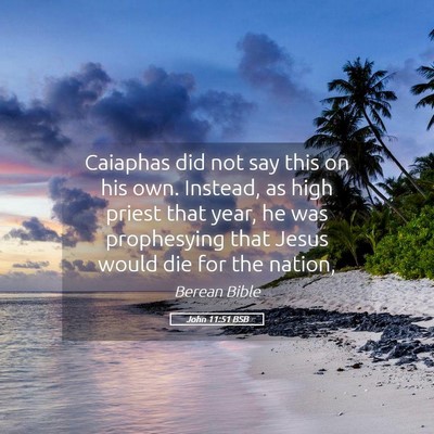 Picture 05 - John 11:51 BSB - Caiaphas did not say this on his own. Instead, as - Bible Verse Picture