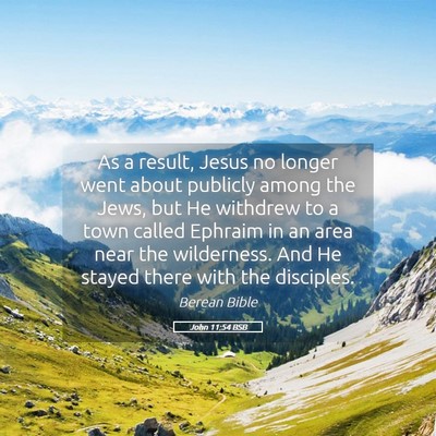 Picture 05 - John 11:54 BSB - As a result, Jesus no longer went about publicly - Bible Verse Picture