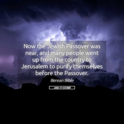 Picture 05 - John 11:55 BSB - Now the Jewish Passover was near, and many people - Bible Verse Picture