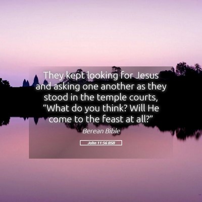 Picture 05 - John 11:56 BSB - They kept looking for Jesus and asking one - Bible Verse Picture