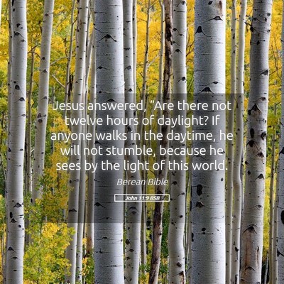 Picture 05 - John 11:9 BSB - Jesus answered, “Are there not twelve hours of - Bible Verse Picture