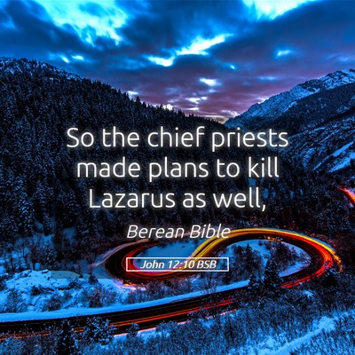 Picture 05 - John 12:10 BSB - So the chief priests made plans to kill Lazarus - Bible Verse Picture