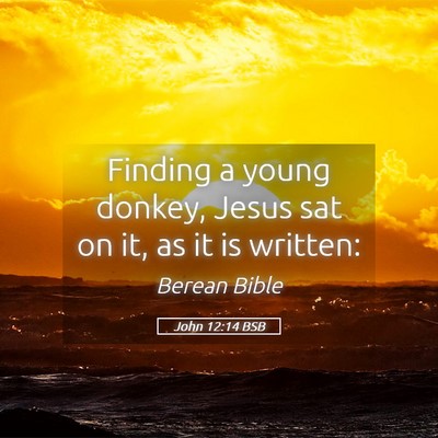 Picture 05 - John 12:14 BSB - Finding a young donkey, Jesus sat on it, as it is - Bible Verse Picture