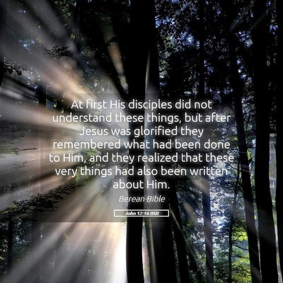 Picture 05 - John 12:16 BSB - At first His disciples did not understand these - Bible Verse Picture