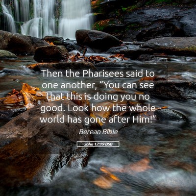 Picture 05 - John 12:19 BSB - Then the Pharisees said to one another, “You - Bible Verse Picture