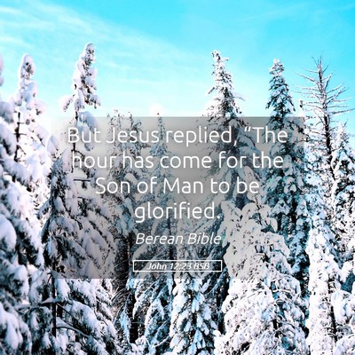 Picture 05 - John 12:23 BSB - But Jesus replied, “The hour has come for the - Bible Verse Picture