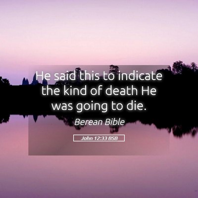 Picture 05 - John 12:33 BSB - He said this to indicate the kind of death He was - Bible Verse Picture