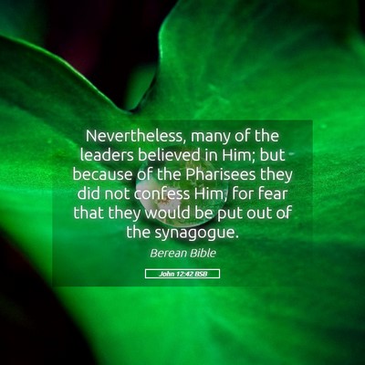 Picture 05 - John 12:42 BSB - Nevertheless, many of the leaders believed in - Bible Verse Picture