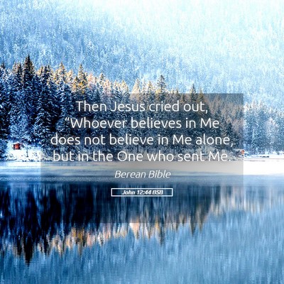 Picture 05 - John 12:44 BSB - Then Jesus cried out, “Whoever believes in Me - Bible Verse Picture