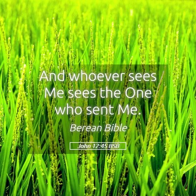 Picture 05 - John 12:45 BSB - And whoever sees Me sees the One who sent - Bible Verse Picture