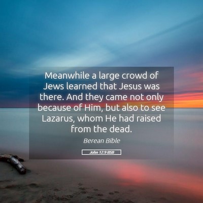 Picture 05 - John 12:9 BSB - Meanwhile a large crowd of Jews learned that - Bible Verse Picture