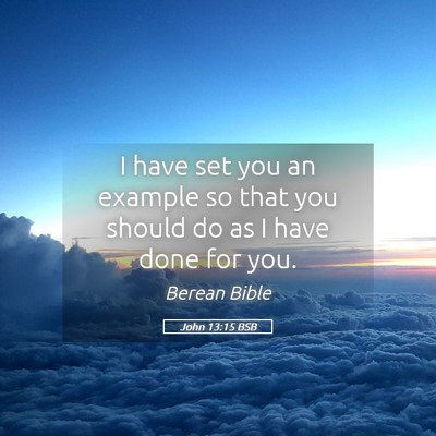 Picture 05 - John 13:15 BSB - I have set you an example so that you should do - Bible Verse Picture