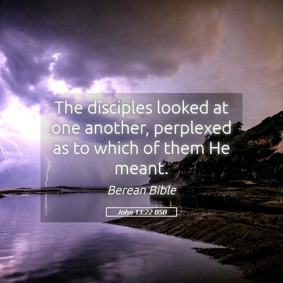 Picture 05 - John 13:22 BSB - The disciples looked at one another, perplexed as - Bible Verse Picture