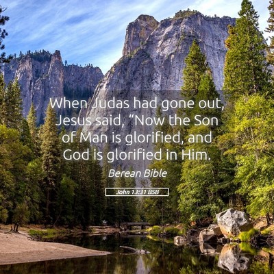 Picture 05 - John 13:31 BSB - When Judas had gone out, Jesus said, “Now the - Bible Verse Picture