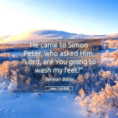 Picture 05 - John 13:6 BSB - He came to Simon Peter, who asked Him, “Lord, - Bible Verse Picture