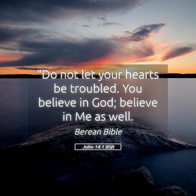 Picture 05 - John 14:1 BSB - “Do not let your hearts be troubled. You - Bible Verse Picture