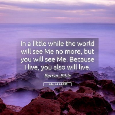Picture 05 - John 14:19 BSB - In a little while the world will see Me no more, - Bible Verse Picture