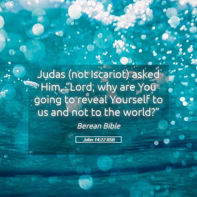 Picture 05 - John 14:22 BSB - Judas (not Iscariot) asked Him, “Lord, why are - Bible Verse Picture