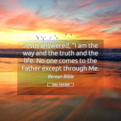 Picture 05 - John 14:6 BSB - Jesus answered, “I am the way and the truth and - Bible Verse Picture