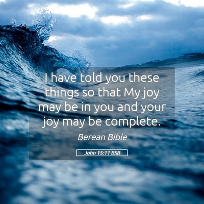 Picture 05 - John 15:11 BSB - I have told you these things so that My joy may - Bible Verse Picture