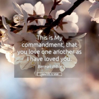 Picture 05 - John 15:12 BSB - This is My commandment, that you love one another - Bible Verse Picture