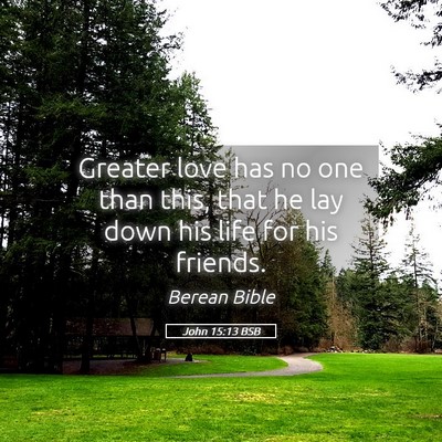 Picture 05 - John 15:13 BSB - Greater love has no one than this, that he lay - Bible Verse Picture