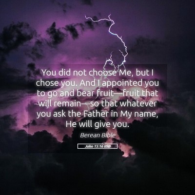 Picture 05 - John 15:16 BSB - You did not choose Me, but I chose you. And I - Bible Verse Picture