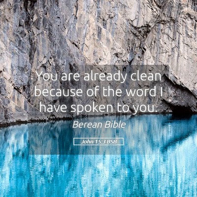 Picture 05 - John 15:3 BSB - You are already clean because of the word I have - Bible Verse Picture