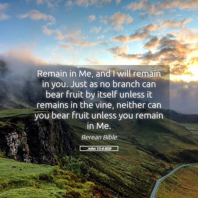 Picture 05 - John 15:4 BSB - Remain in Me, and I will remain in you. Just as - Bible Verse Picture