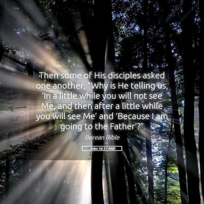 Picture 05 - John 16:17 BSB - Then some of His disciples asked one another, - Bible Verse Picture
