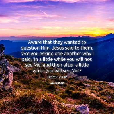 Picture 05 - John 16:19 BSB - Aware that they wanted to question Him, Jesus - Bible Verse Picture
