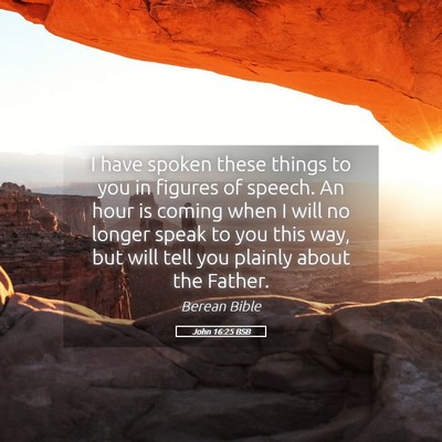 Picture 05 - John 16:25 BSB - I have spoken these things to you in figures of - Bible Verse Picture