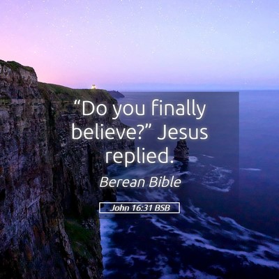 Picture 05 - John 16:31 BSB - “Do you finally believe?” Jesus - Bible Verse Picture
