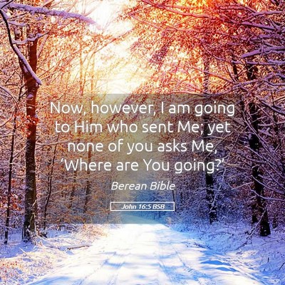 Picture 05 - John 16:5 BSB - Now, however, I am going to Him who sent Me; yet - Bible Verse Picture