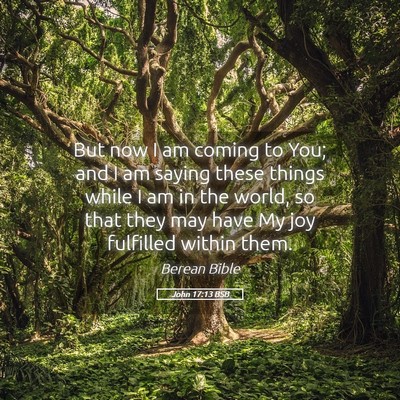 Picture 05 - John 17:13 BSB - But now I am coming to You; and I am saying these - Bible Verse Picture