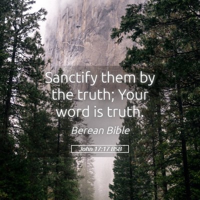 Picture 05 - John 17:17 BSB - Sanctify them by the truth; Your word is - Bible Verse Picture