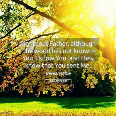 Picture 05 - John 17:25 BSB - Righteous Father, although the world has not - Bible Verse Picture