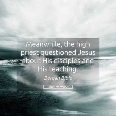 Picture 05 - John 18:19 BSB - Meanwhile, the high priest questioned Jesus about - Bible Verse Picture